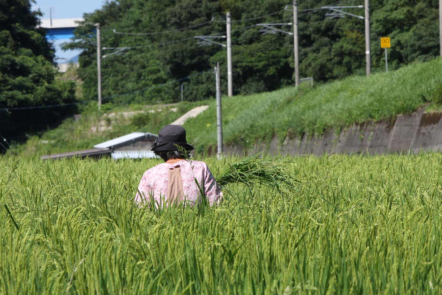 北近畿タンゴ鉄道宮福線 喜多－宮村