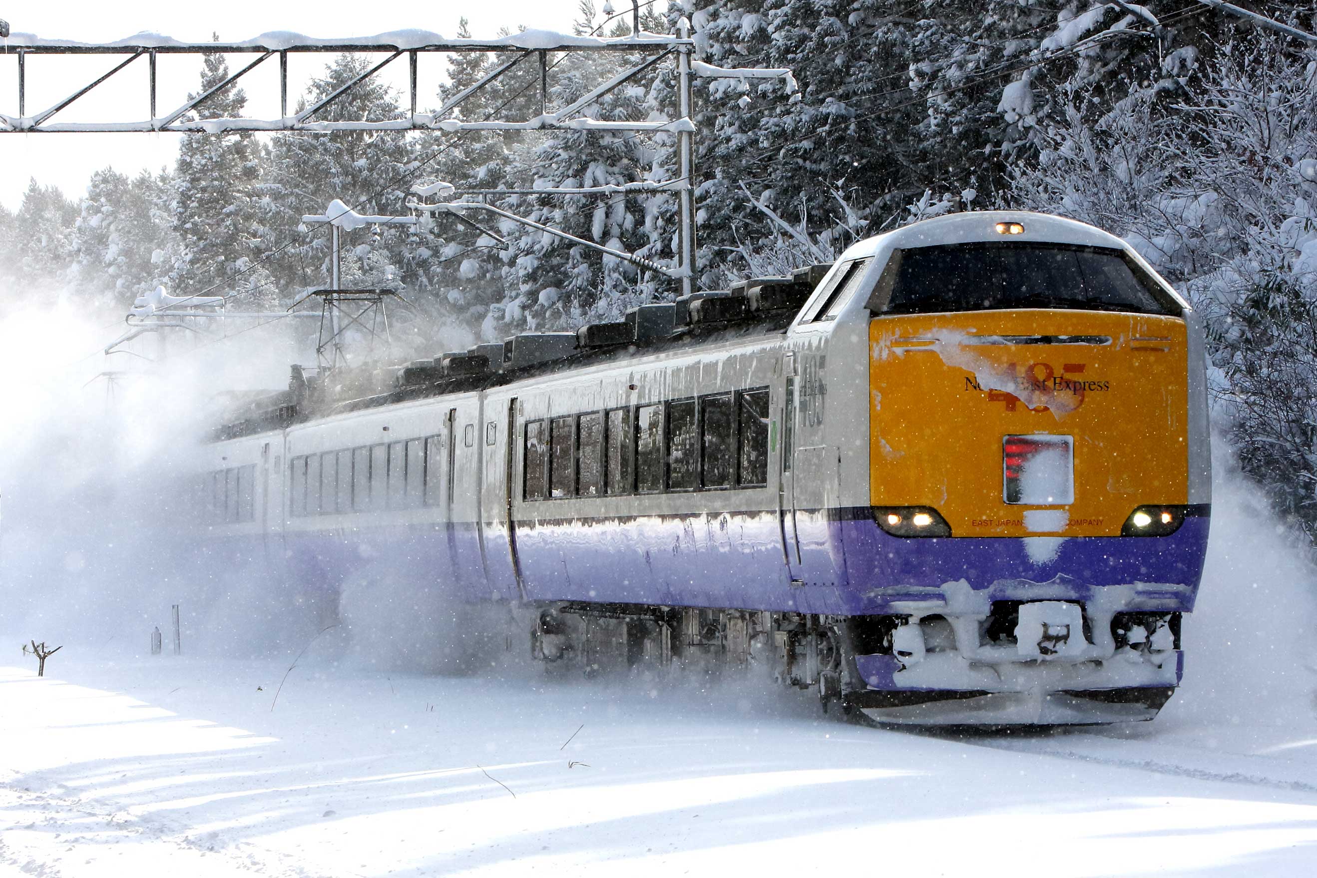 東北本線狩場沢－清水川　485系3000番台特急「つがる」