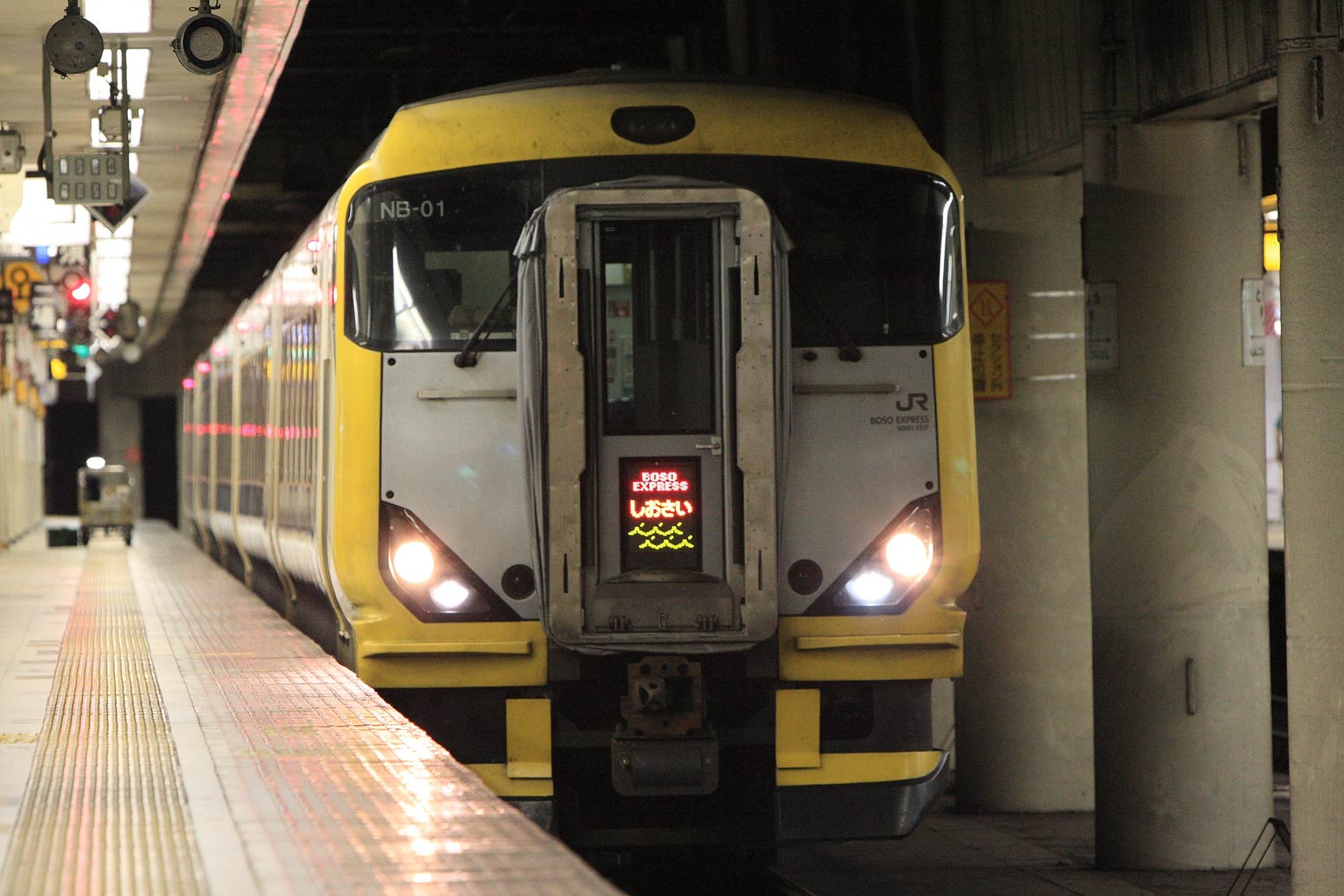 東京駅　E257系500番台特急「しおさい」