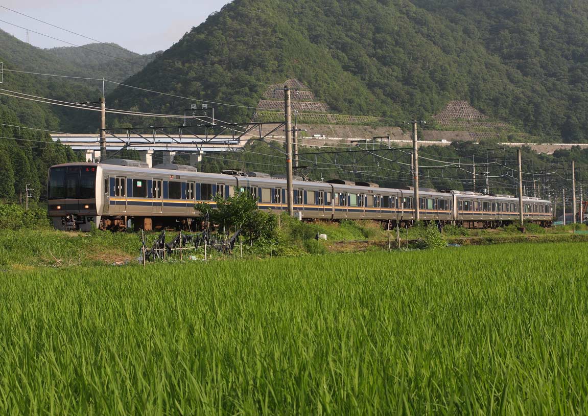 福知山線藍本-草野 207系普通列車