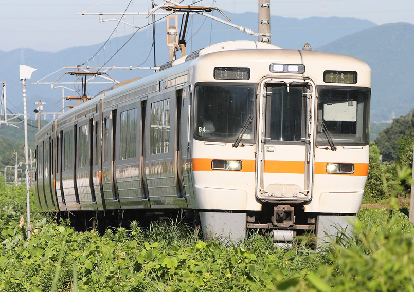 中央本線美乃坂本-中津川 313特急普通列車