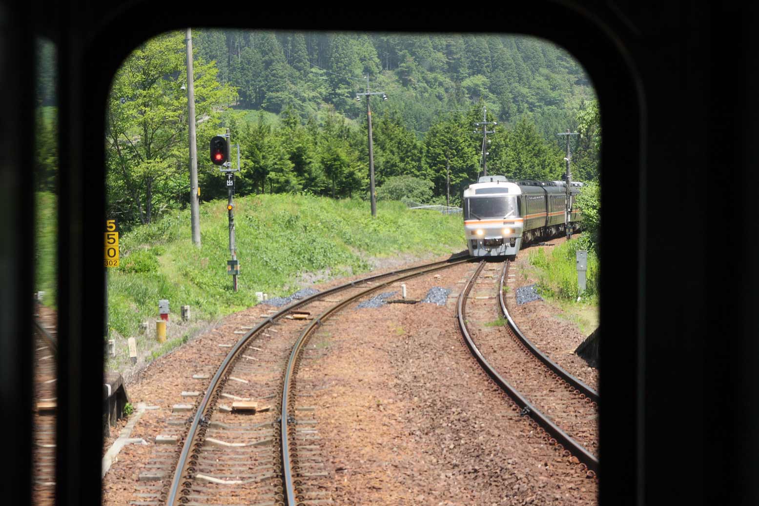 高山本線下油井駅　キハ85系特急「（ワイドビュー）ひだ」