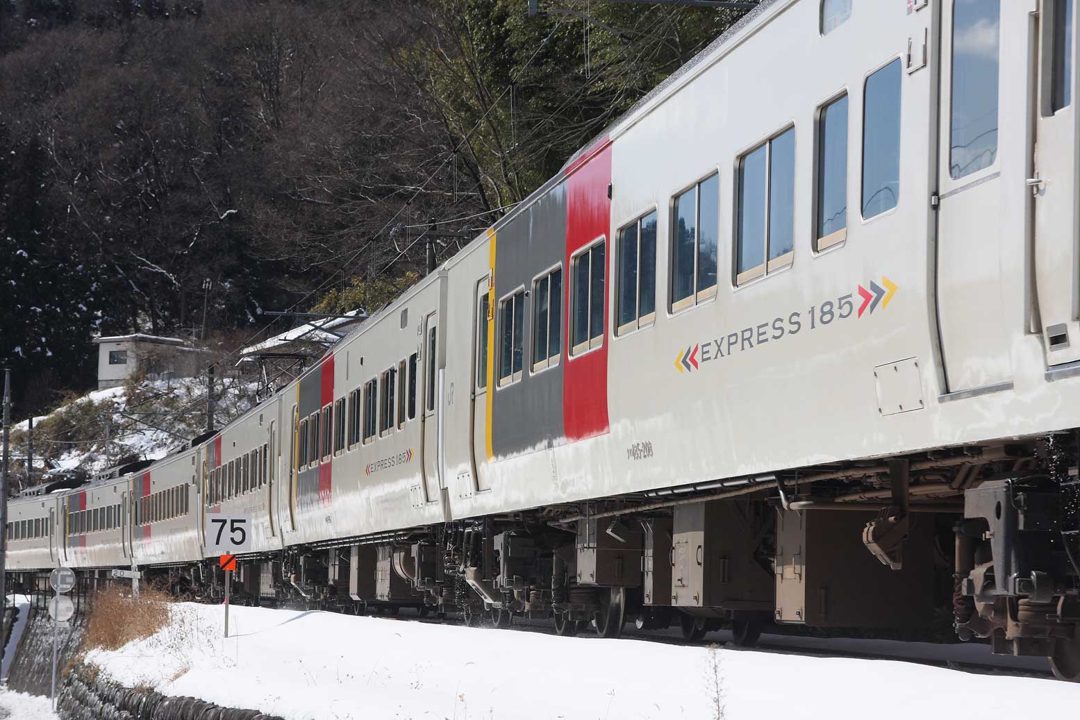 吾妻線群馬原町－郷原　185系200番台特急「草津」